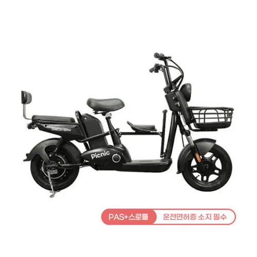 [레이윙] 디스커버리 피크닉 S30 전기 전동스쿠터 10A S30D10