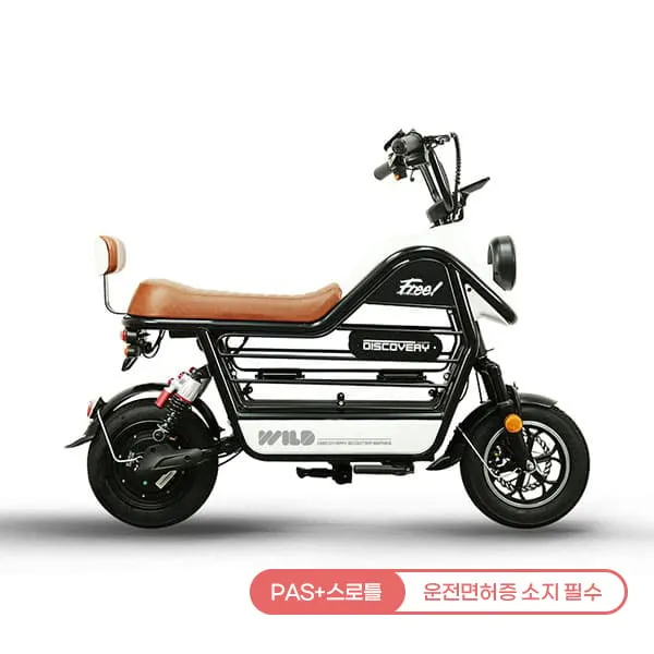 [레이윙] 디스커버리 와일드 S20 28A 전기 전동스쿠터 (S20_28A) (블랙) (48개월)